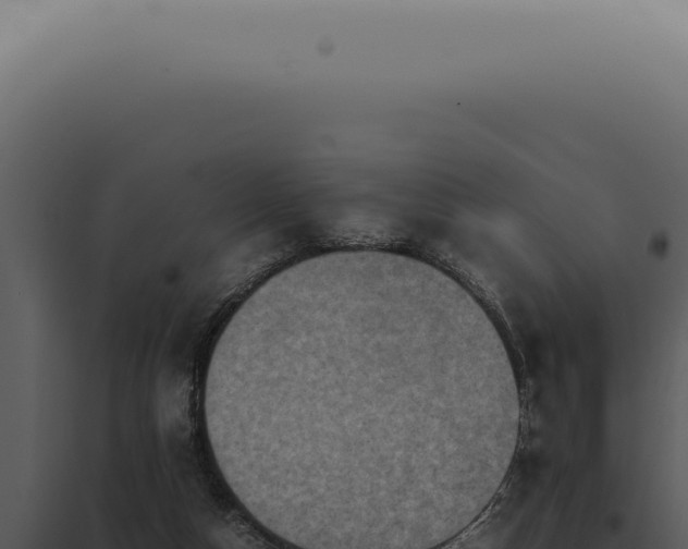 X0000098000162200804011840