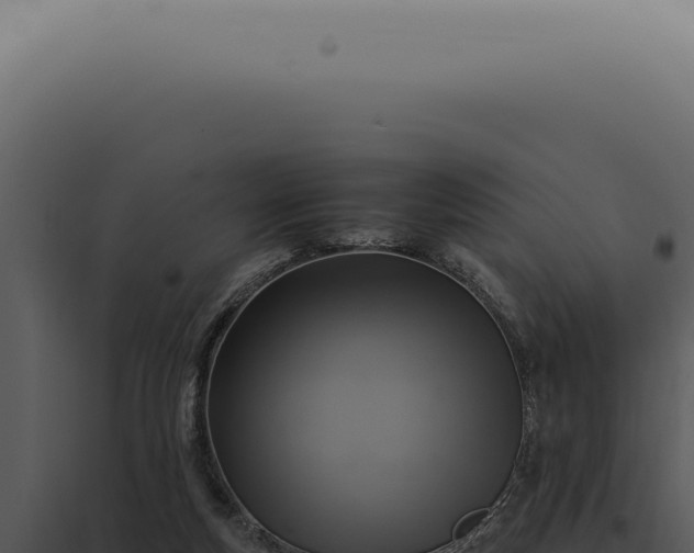 X0000098000163200804011840
