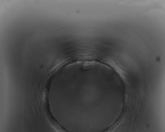 X0000098000165200804011840