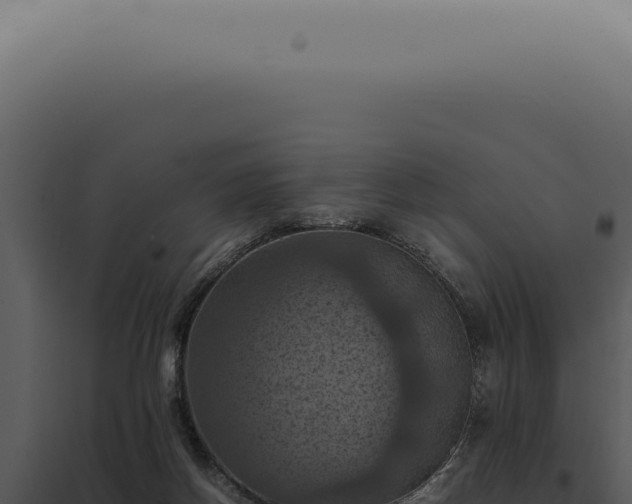 X0000098000166200804011840