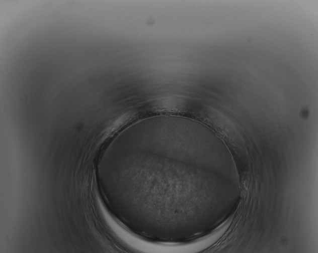 X0000098000168200804011840