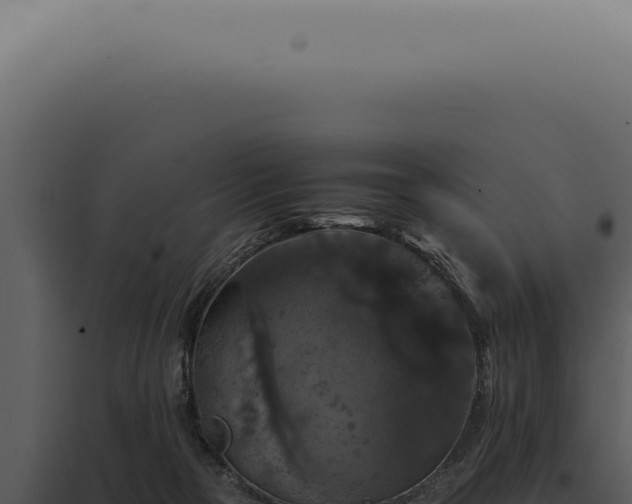 X0000098000169200804011840