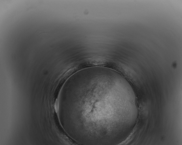 X0000098000170200804011840