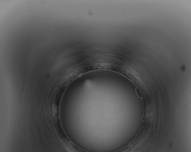 X0000098000173200804011841