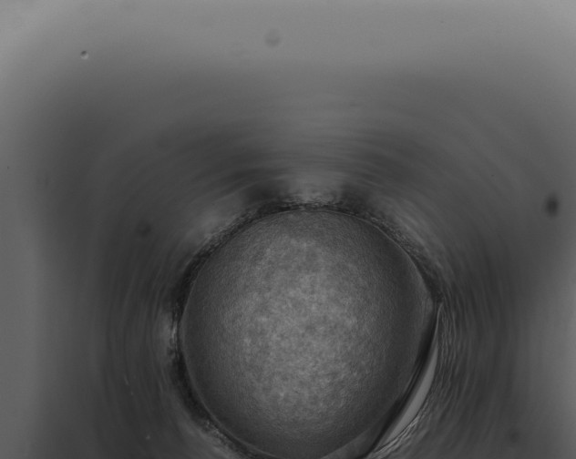 X0000098000176200804011841