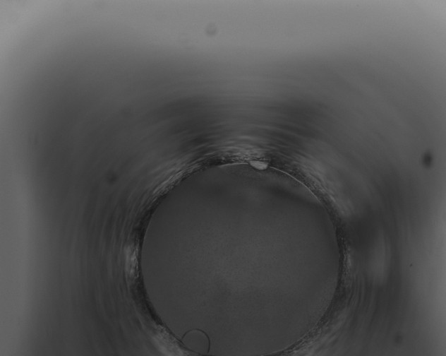 X0000098000177200804011841