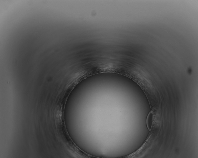 X0000098000179200804011841