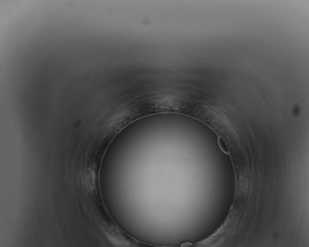 X0000098000183200804011841