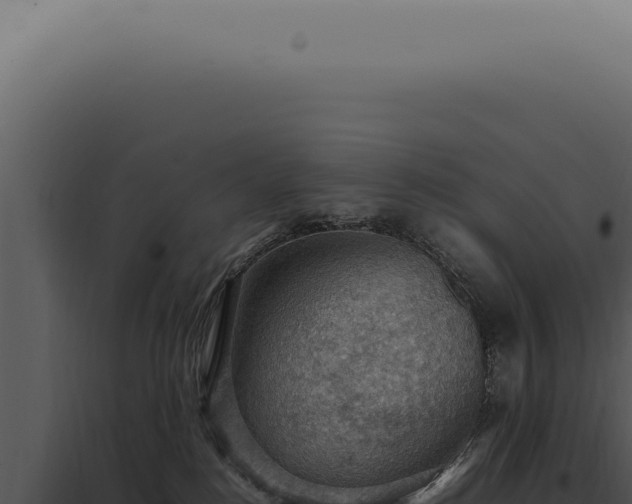 X0000098000184200804011841