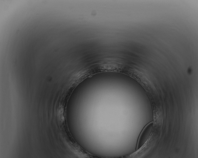 X0000098000187200804011841