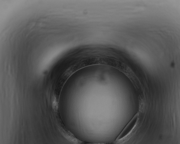 X0000098000191200804011841