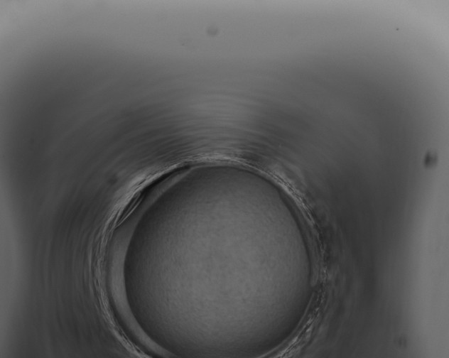 X0000098000193200804011840