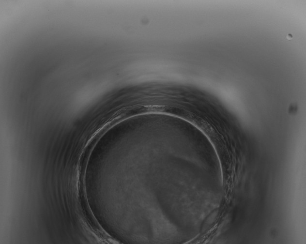 X0000098000194200804011840