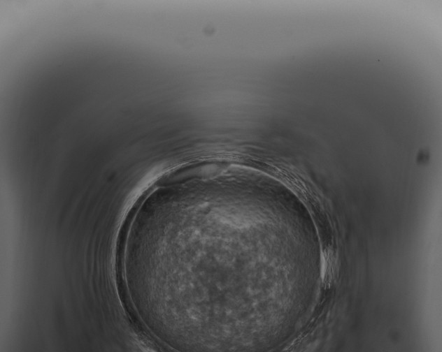 X0000098000195200804011840