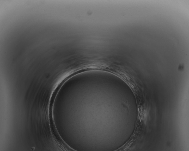 X0000098000196200804011840
