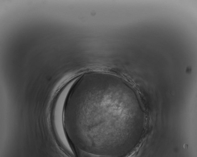 X0000098000197200804011840