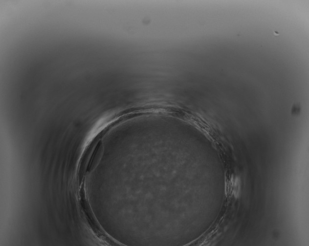 X0000098000198200804011840
