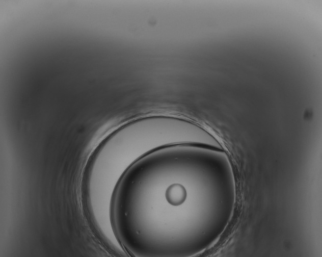 X0000098000199200804011840
