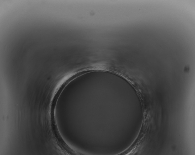 X0000098000200200804011840