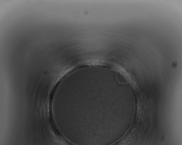 X0000098000202200804011840