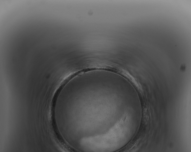 X0000098000203200804011840