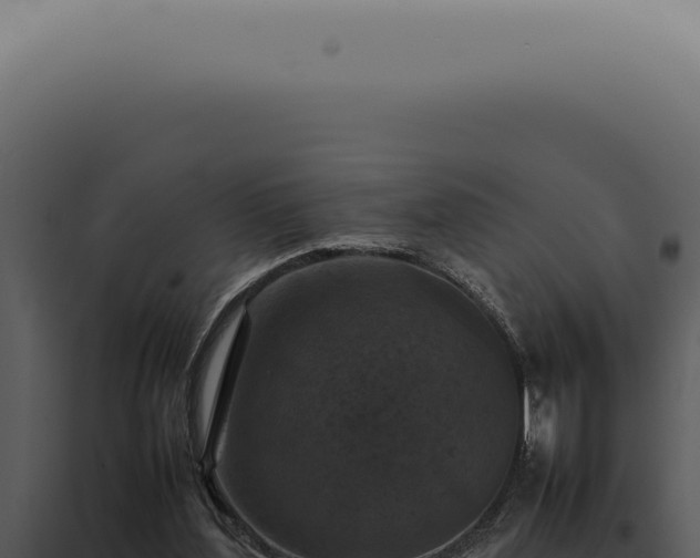 X0000098000204200804011840