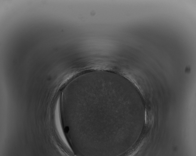 X0000098000205200804011840