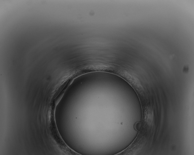 X0000098000206200804011840