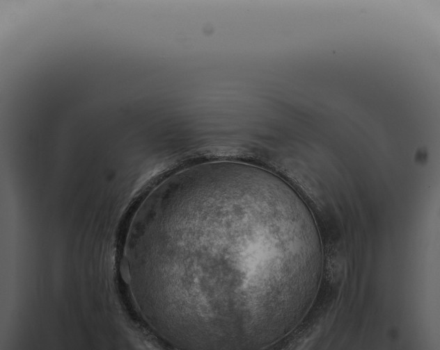 X0000098000207200804011840