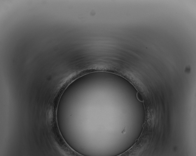 X0000098000208200804011840