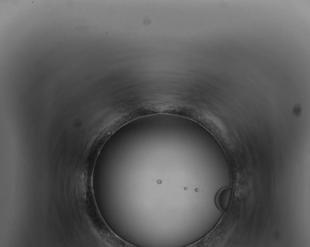 X0000098000210200804011840