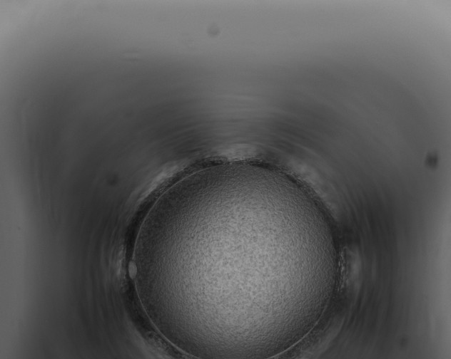X0000098000212200804011840