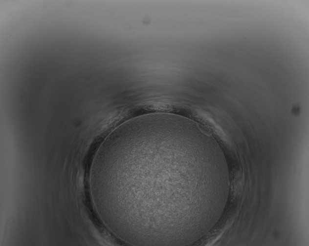 X0000098000213200804011840
