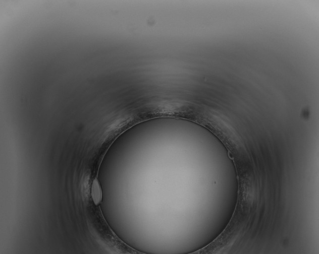 X0000098000216200804011840