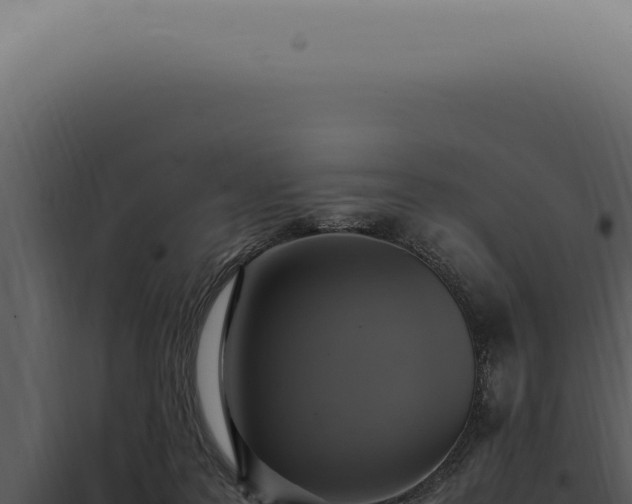 X0000098000219200804011840