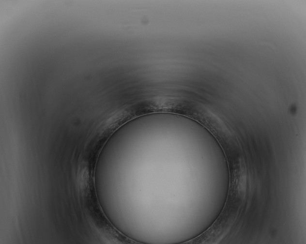 X0000098000220200804011840