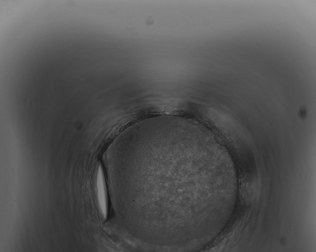 X0000098000221200804011840