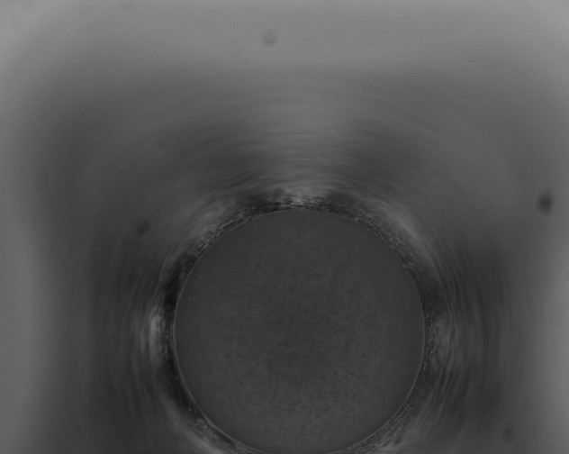 X0000098000222200804011840