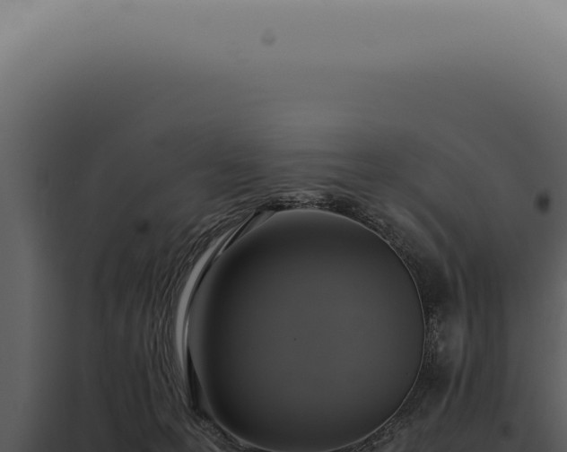 X0000098000223200804011840