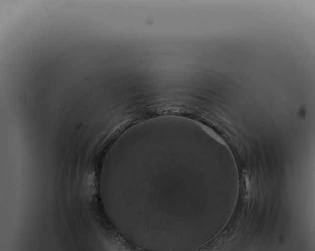 X0000098000224200804011840