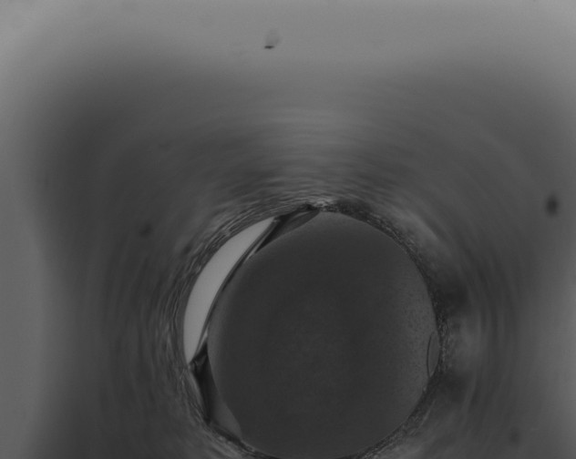 X0000098000229200804011840
