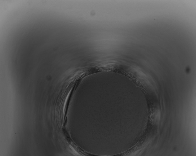 X0000098000231200804011840