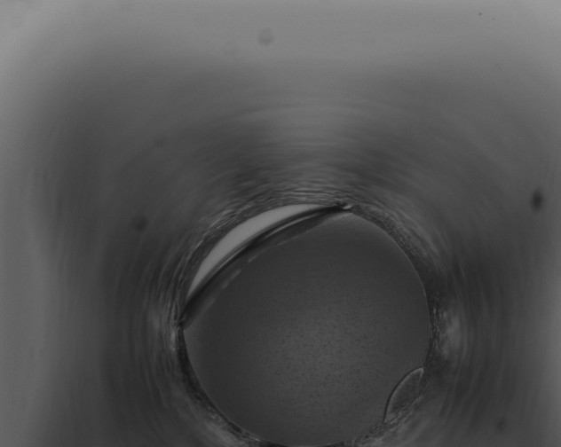 X0000098000232200804011840