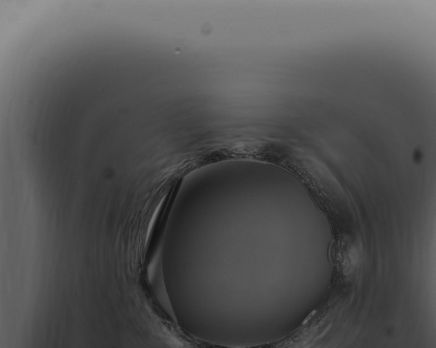 X0000098000235200804011840