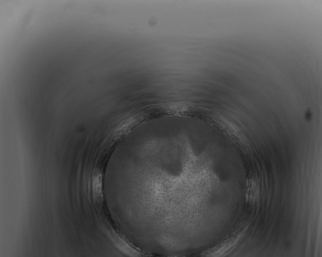 X0000098000238200804011840