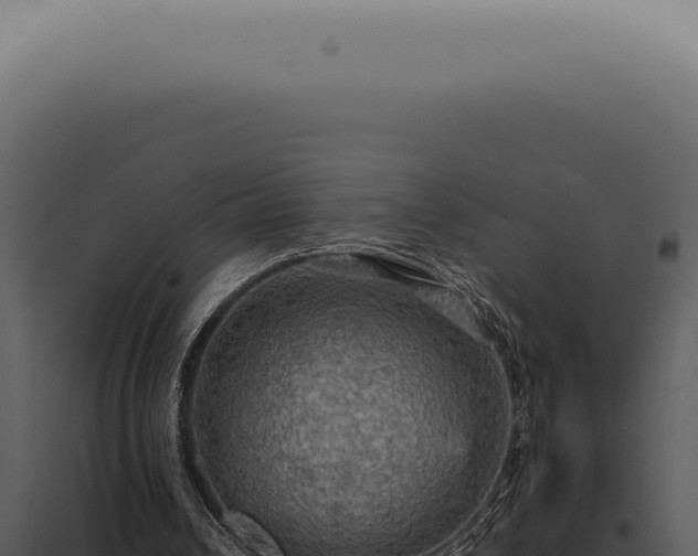 X0000098000242200804011839