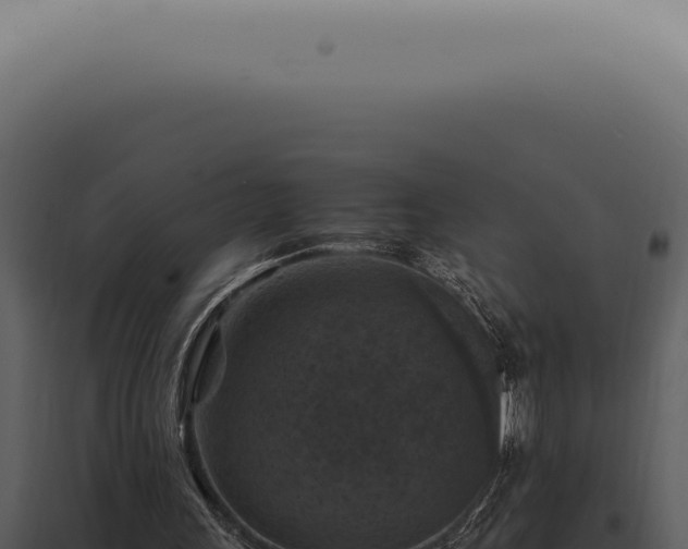 X0000098000243200804011839
