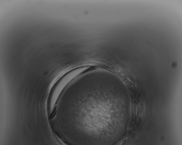 X0000098000244200804011839