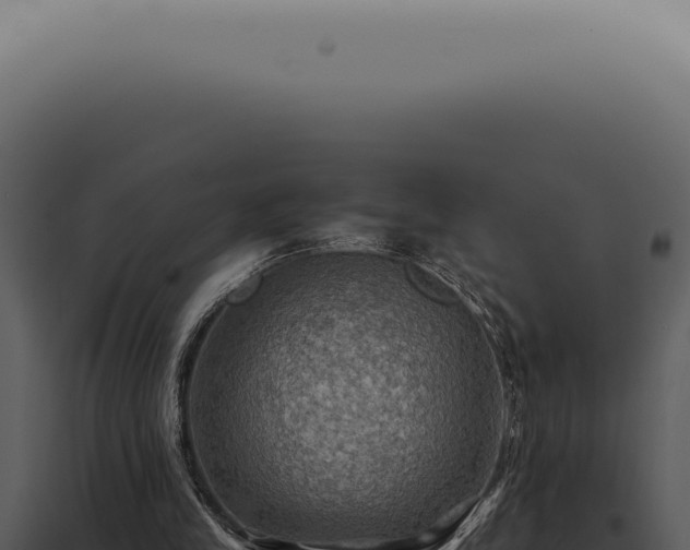 X0000098000245200804011839