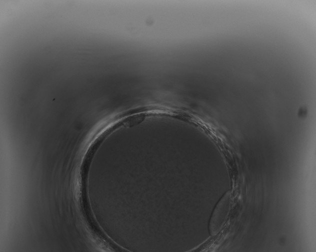 X0000098000247200804011839